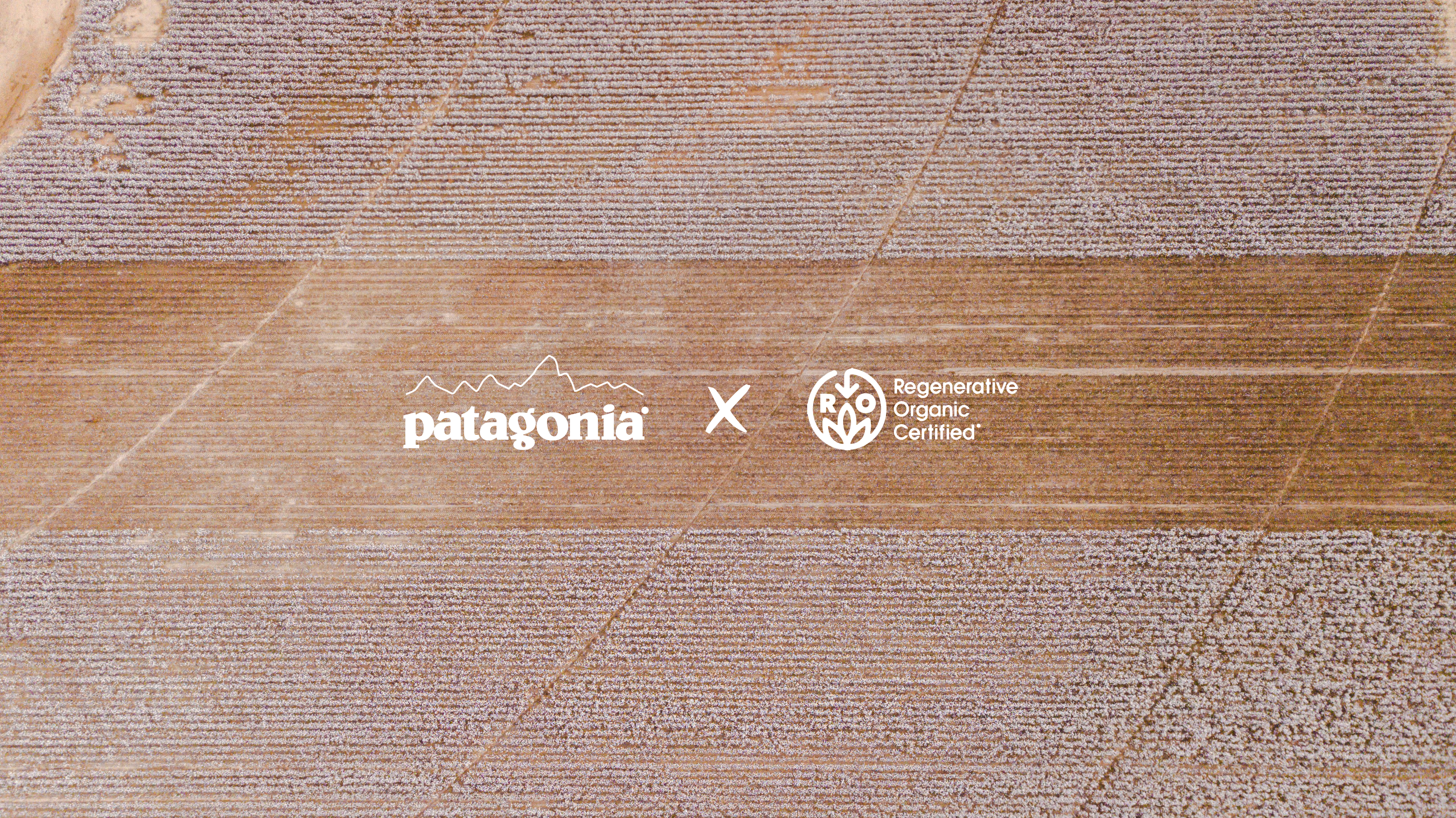 Patagonia's Ditching 'Kind of Sustainable' For Truly Sustainable